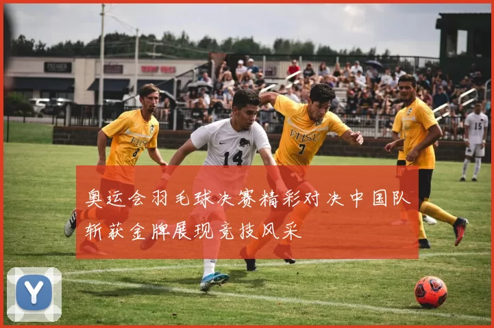 奥运会羽毛球决赛精彩对决中国队斩获金牌展现竞技风采